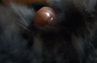 XXX परिपक्व लड़की फैला है और इससे पहले कि लंबे समय हिंदी पिक्चर फिल्म सेक्सी वीडियो में लेबिया