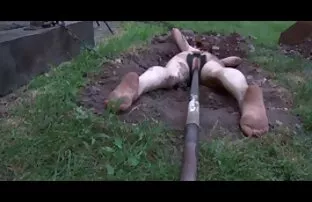 XXX पतला 18-वर्षीय रूसी गोरा हिंदी पिक्चर फिल्म वीडियो में सेक्सी marsurbiates उसे चिकनी pizdenku